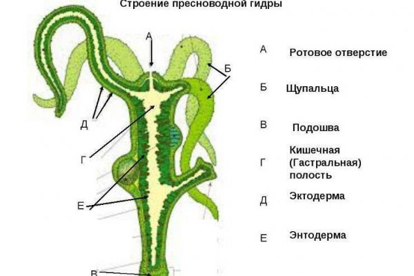 Кракен торговая kr2web in